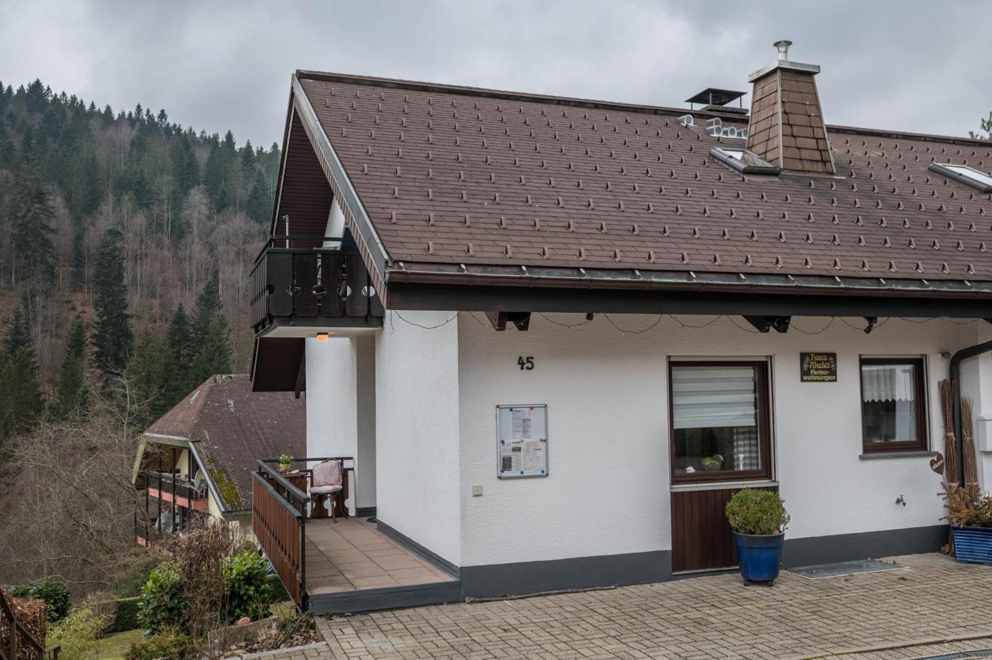 Haus Akelei Apartamento Todtmoos Exterior foto
